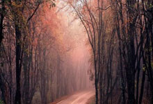 买股票杠杆是什么意思:股票配资专业平台-纪念中国人民抗日战争暨世界反法西斯战争胜利80周年大会隆重举行 习近平发表重要讲话并检阅部队